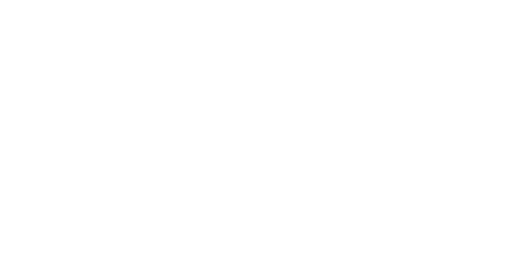 Future Bridge Americas
