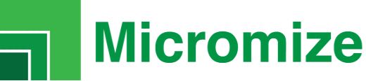 Micromize