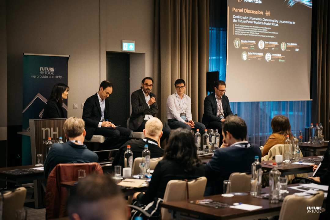Panel discussion with delegates watching